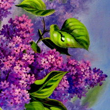 сирень часть 2