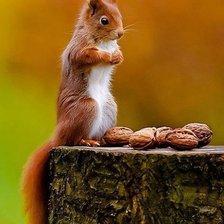 Схема вышивки «1»