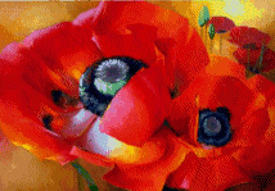 мак - предпросмотр