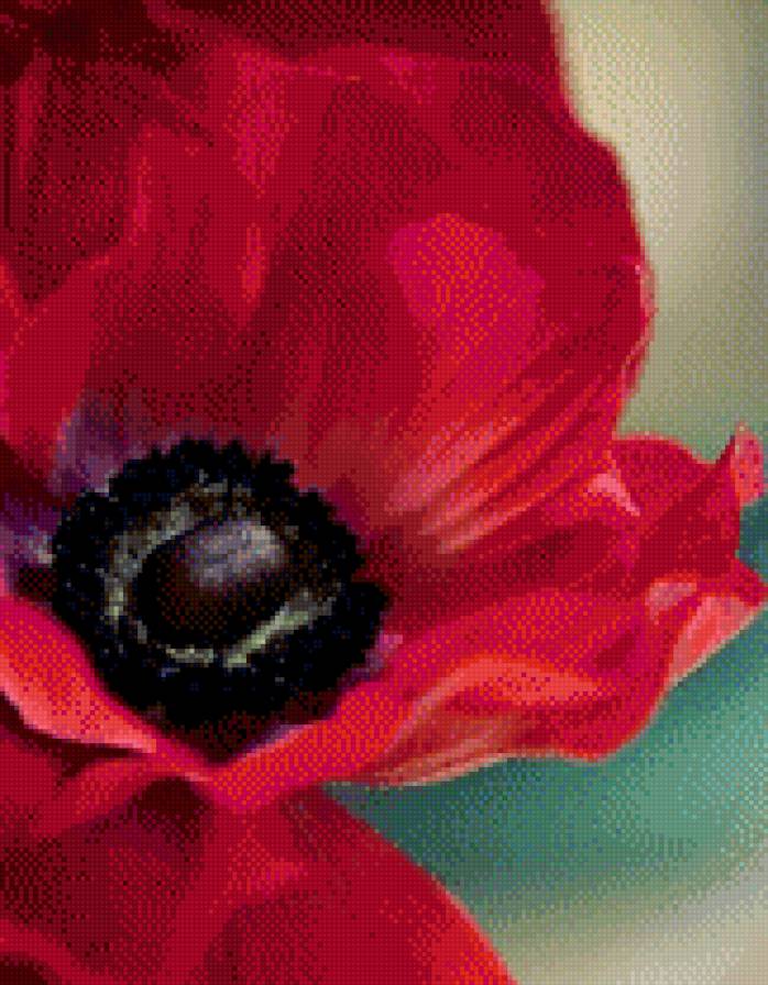 мак2 - предпросмотр