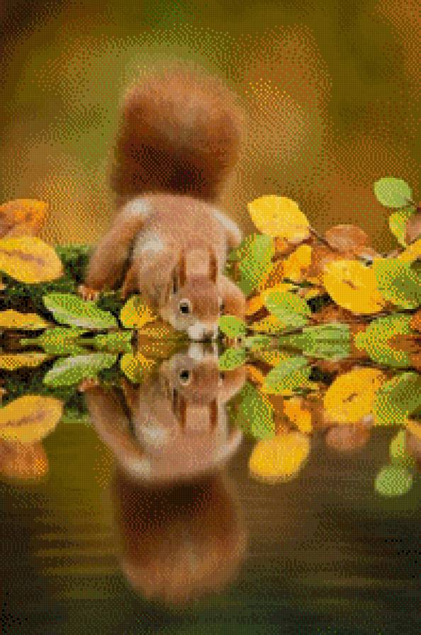 белочка - предпросмотр