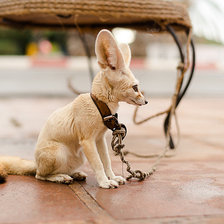 Схема вышивки «узник»