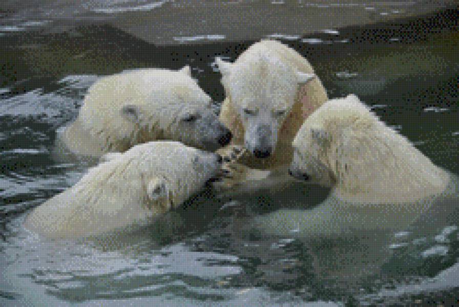 держитесь ребята - животные - предпросмотр