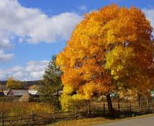 Схема вышивки «Осень в деревне»