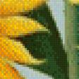 Предпросмотр схемы вышивки «подсолнухи» (№510688)