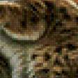 Предпросмотр схемы вышивки «пумы» (№510846)