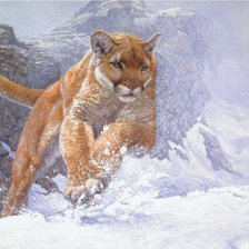 Схема вышивки «пума на снегу»