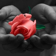 Схема вышивки «для тебя!»