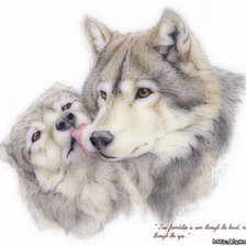 Схема вышивки «Нежность волков»