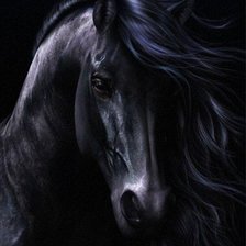 Схема вышивки «черный как ночь»