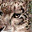 Предпросмотр схемы вышивки «Большие дикие кошки» (№511012)