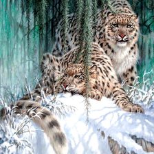 Большие дикие кошки