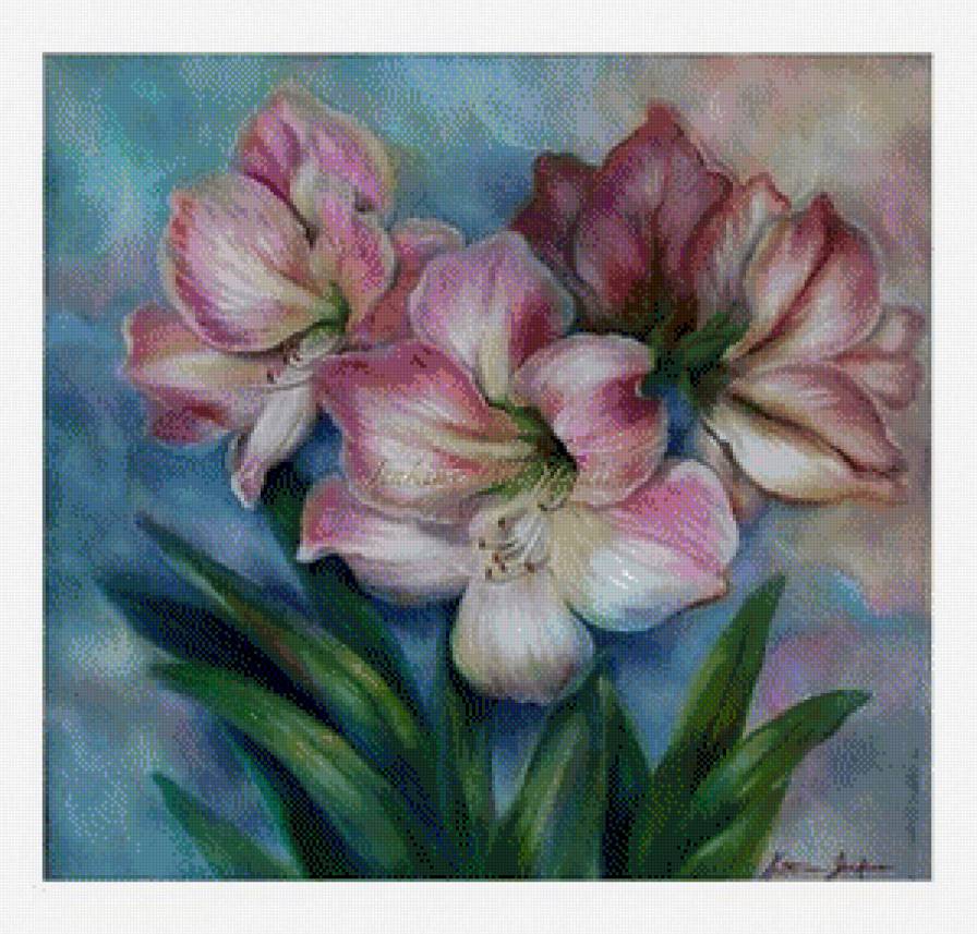 Амарилис - цветы, амарилисы, букет - предпросмотр