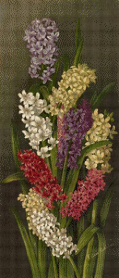 Гиацинты - гиацинты, цветы, букет - предпросмотр