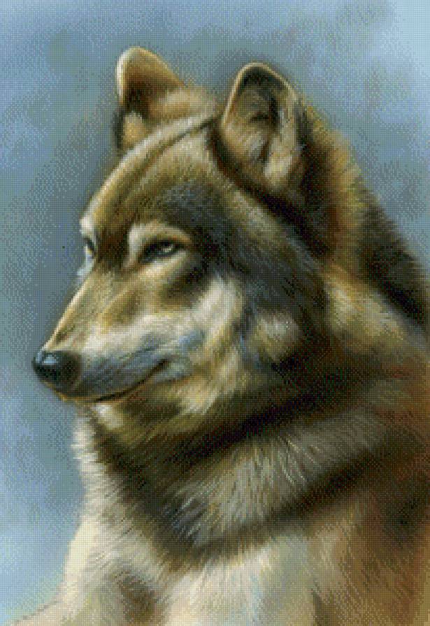 Вожак - волки, животные - предпросмотр