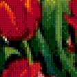 Предпросмотр схемы вышивки «Тюльпаны» (№511157)