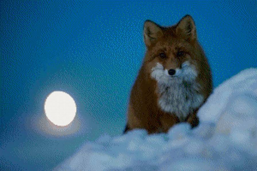 Лисица - предпросмотр