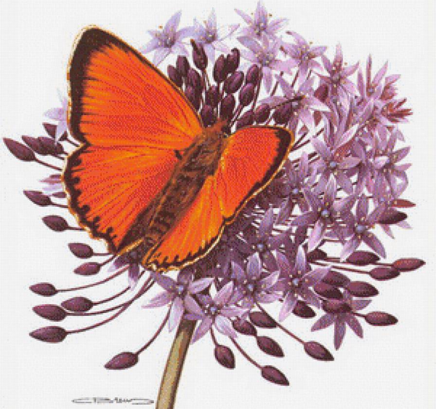 Бабочка - бабочки, цветы - предпросмотр