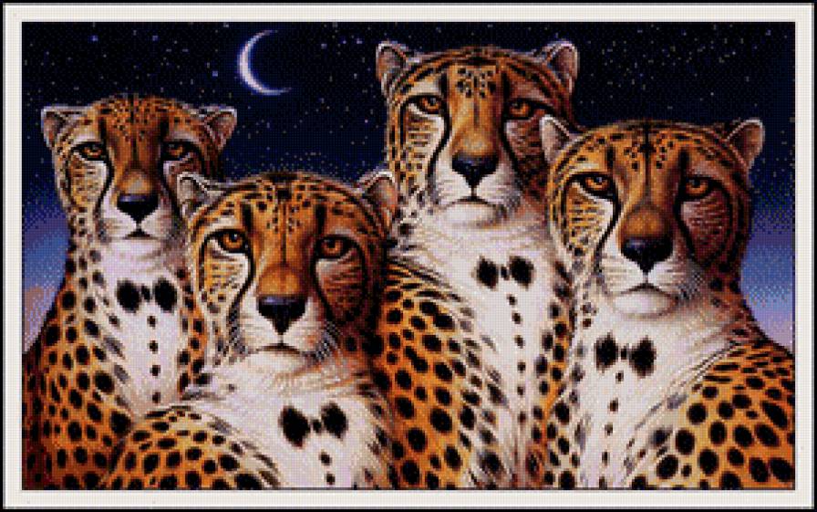 Юмор - животные, гепарды - предпросмотр