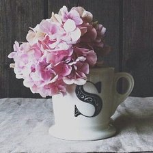 Схема вышивки «цветы»