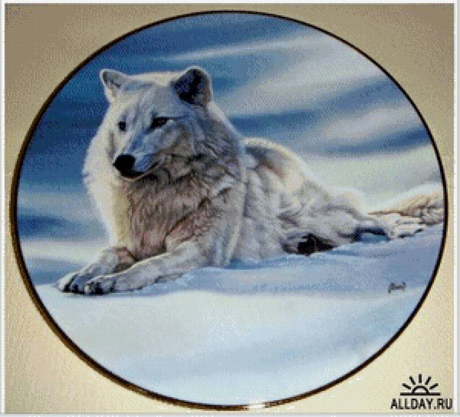 Одиночка - волки, зима, животные - предпросмотр