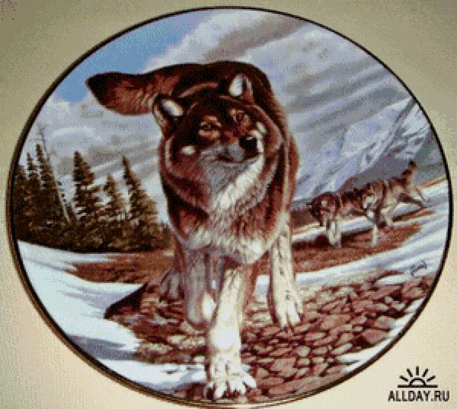Оттепель - волки, зима, пейзаж, горы, животные - предпросмотр