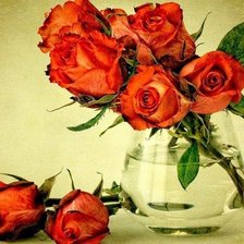 Схема вышивки «Цветы»