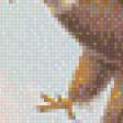 Предпросмотр схемы вышивки «Орел» (№511350)