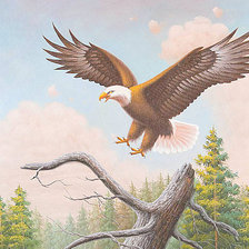 Схема вышивки «Орел»