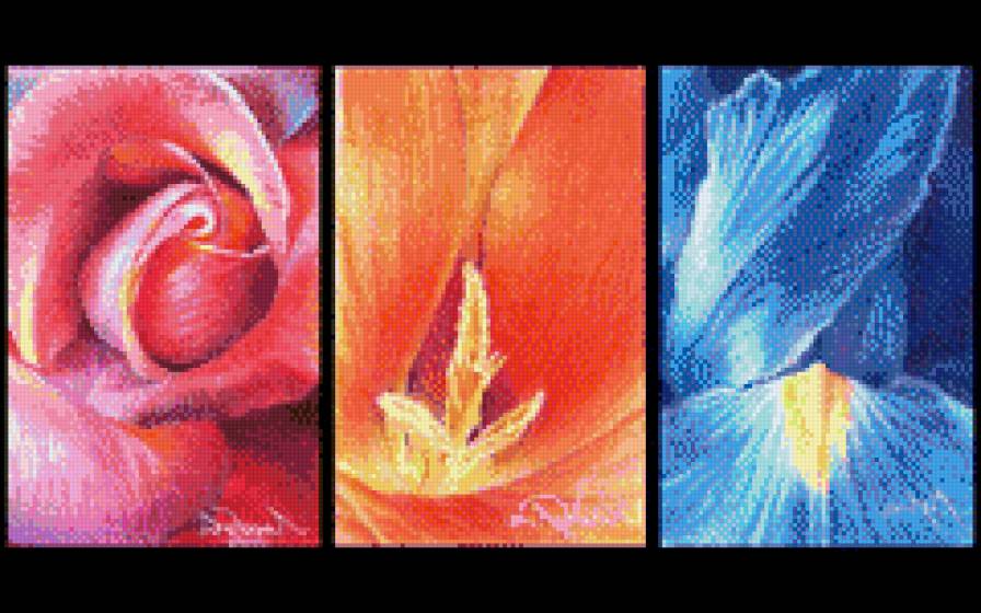 Цветы - природа, красота, цветы - предпросмотр