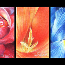 Схема вышивки «Цветы»