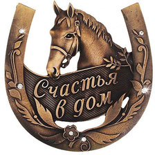 Схема вышивки «подкова для счастья в дом»