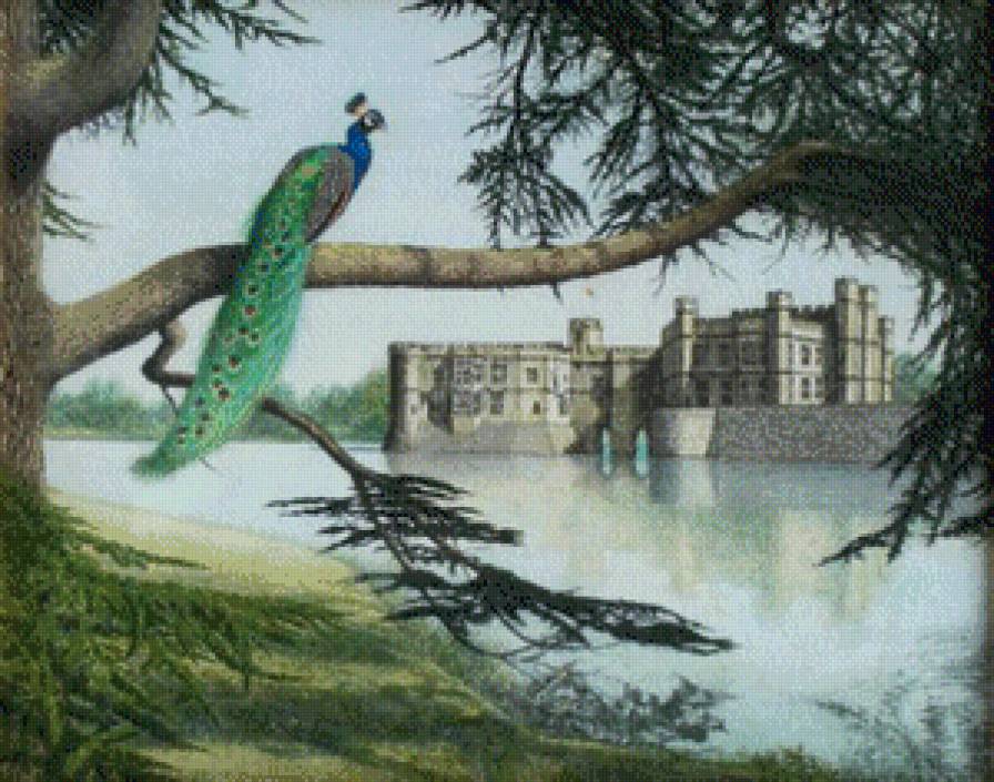 старый замок - лето, замок, озеро, пейзаж, павлин, экзотические птицы - предпросмотр