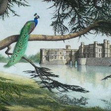 Схема вышивки «старый замок»