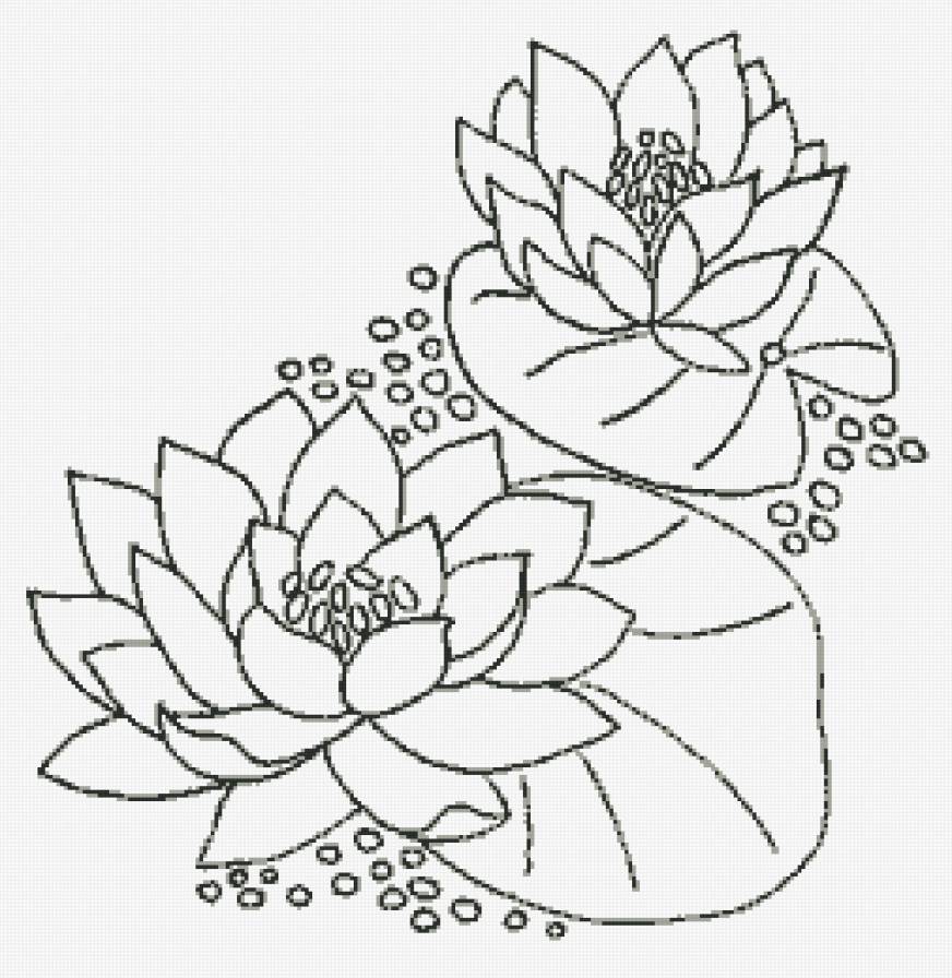 Лотосы - восток, контурная, цветы, азия, монохром - предпросмотр