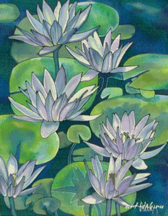 Лотосы - цветы, азия, восток - предпросмотр