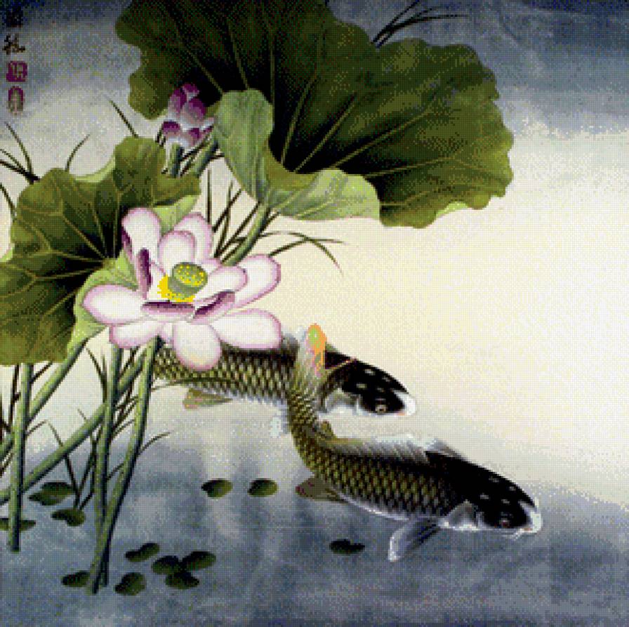 Лотосы с карпами - цветы, рыбы, восток, азия, пейзаж - предпросмотр