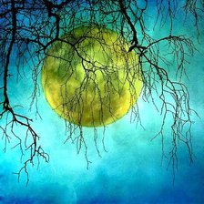 Схема вышивки «№511452»