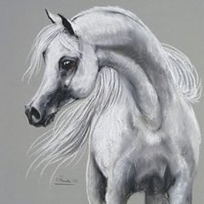 Схема вышивки «№511456»