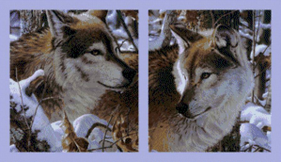 Волки диптих общий вид - волки, диптих - предпросмотр