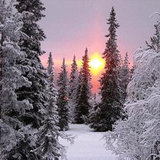 Схема вышивки «мороз и солнце»