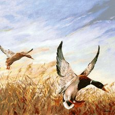 Схема вышивки «leszálló vadkacsák»