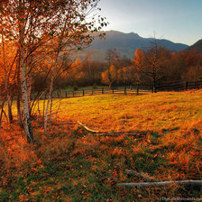 Схема вышивки «№511675»