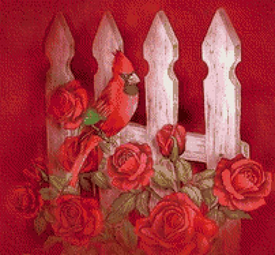 птички( подборка) - птицы, заборчик, красное, розы, цветы - предпросмотр