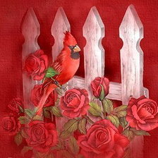 Схема вышивки «птички( подборка)»