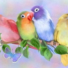 Схема вышивки «яркие попугаи»