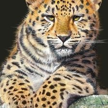 Схема вышивки «№511753»