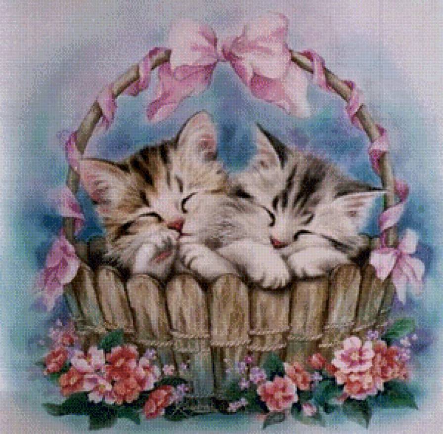 Малыши - животные, котята, кошки - предпросмотр