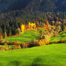 Схема вышивки «№511824»