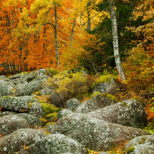 Схема вышивки «№511828»